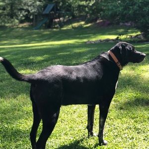 Meet your Posher, Leslie